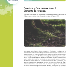 Qu’est-ce qu’une mesure levier ? Éléments de réflexion