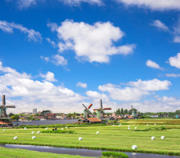 Biodiversité et Agriculture : séparation ou réconciliation ? Une question centrale, des réponses contingentes