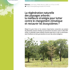 La régénération naturelle des paysages arborés : la meilleure stratégie pour lutter contre le changement climatique et restaurer les écosystèmes ?