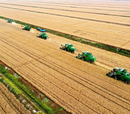 Le paradoxe de la productivité : la productivité agricole favorise l’inefficacité du système alimentaire