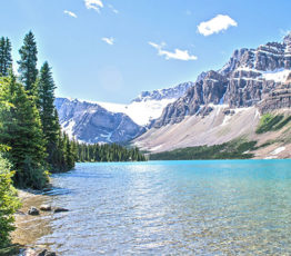 Face aux problèmes climatiques, laissons faire la nature !