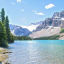 Face aux problèmes climatiques, laissons faire la nature !