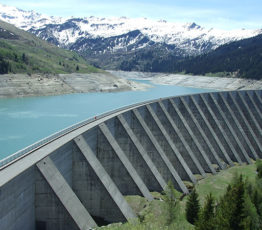 Solutions climat : attention aux impacts sur la biodiversité