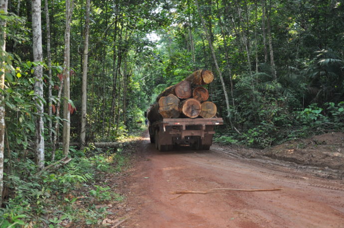 L’approvisionnement en bois venant des forêts guyanaises peut-il être durable ?