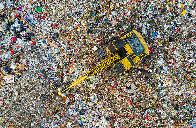 Pollution et biodiversité