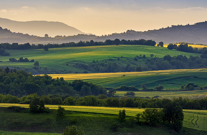 #Presidentielle2022 – Agriculture et pêche