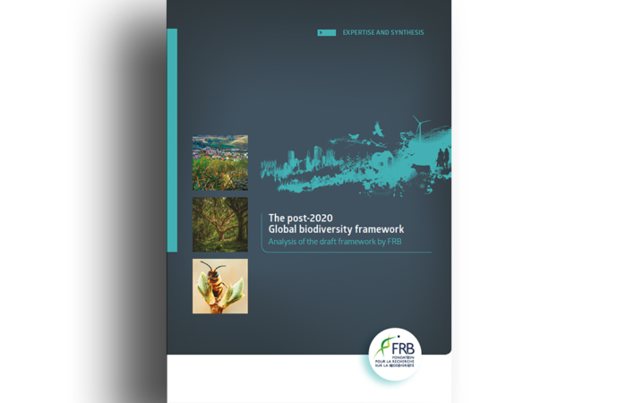 The post-2020 Global biodiversity framework – Analysis of the draft framework by FRB