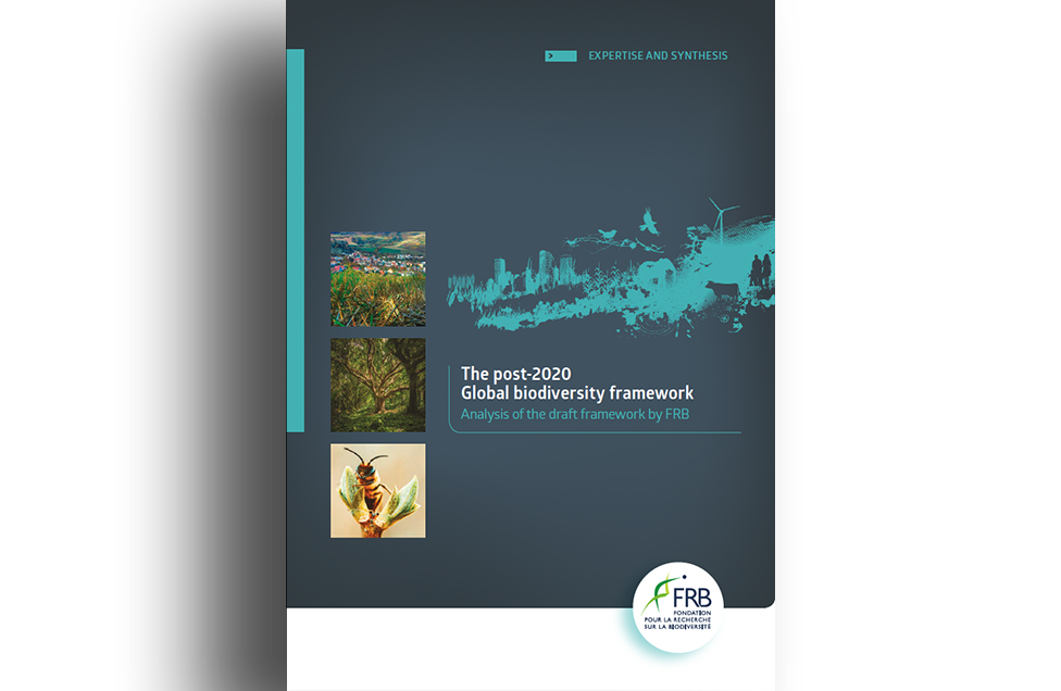 The post-2020 Global biodiversity framework – Analysis of the draft framework by FRB