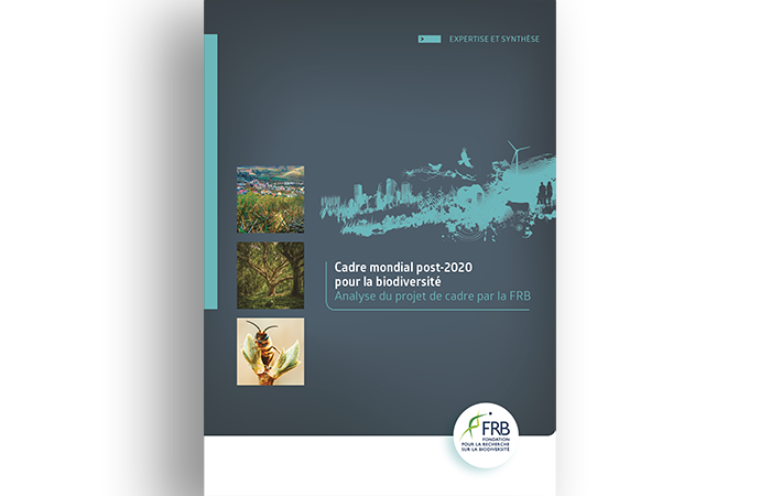 Cadre mondial post-2020 pour la biodiversité – Analyse du projet de cadre par la FRB