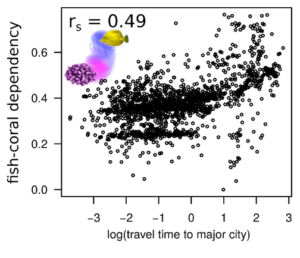 Fig2_Score_Reef_Strona_2021