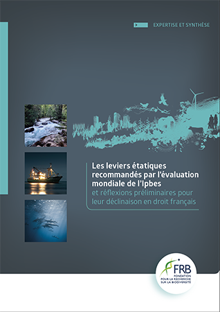 Les leviers étatiques recommandés par l’évaluation mondiale de l’Ipbes et réflexions préliminaires pour leur déclinaison en droit français