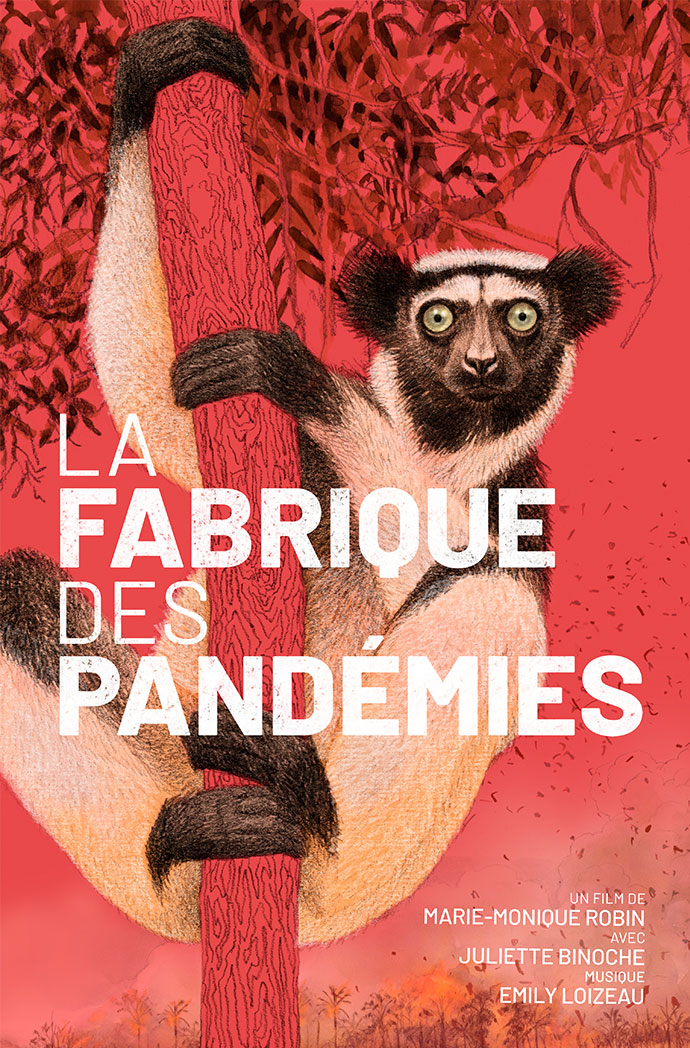 [Avant-première] La fabrique des pandémies – Préserver la biodiversité c’est protéger notre santé