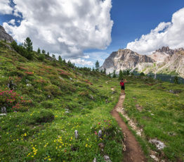 Ipbes 9 – Tourisme et éducation : comment revoir nos rapports au sauvage et à la nature ?