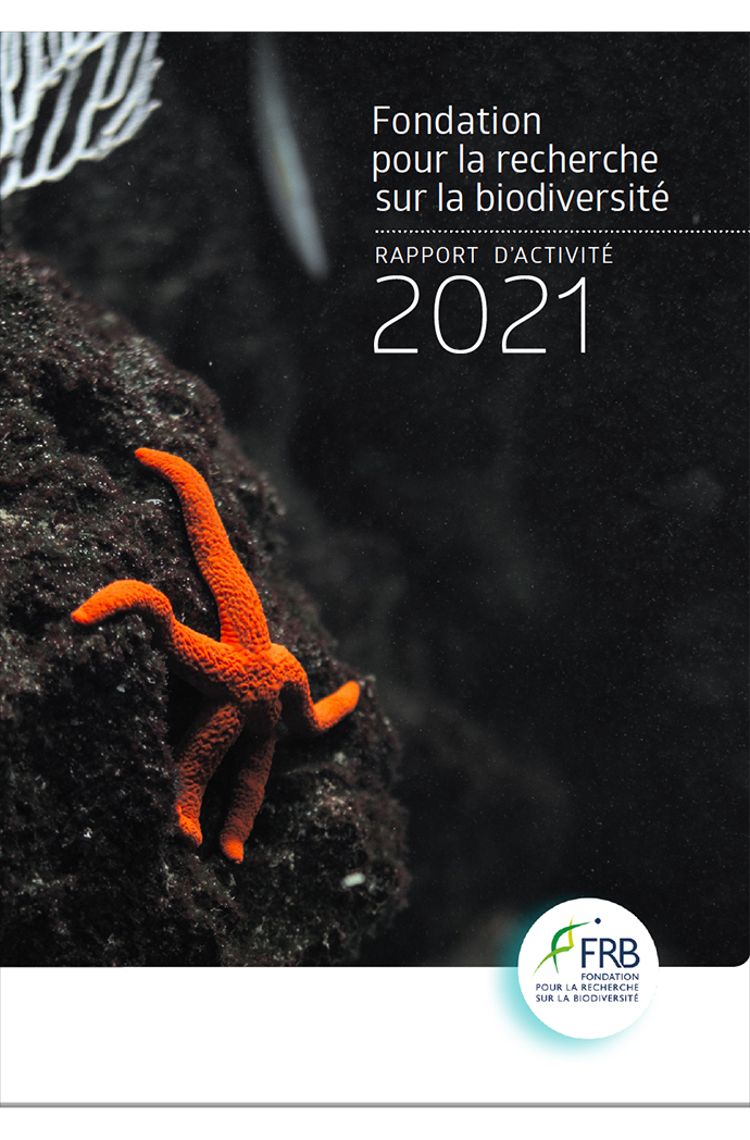 Rapports d’activité de la FRB