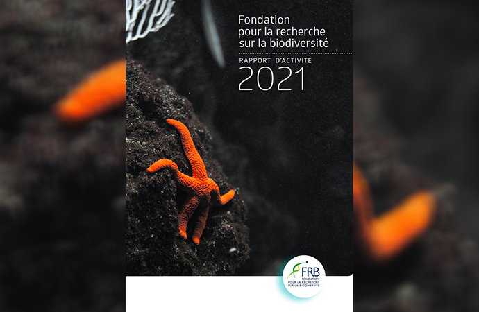 Rapports d’activité de la FRB