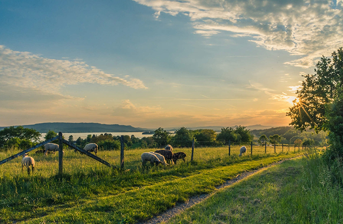 Taxation of Agricultural Land in Europe: A Comparative Approach