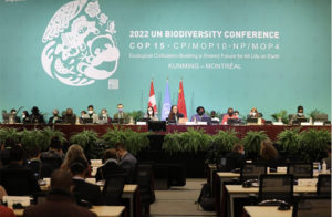 Cop15-8-dec