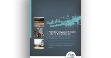 Analyse des stratégies en faveur de la biodiversité : développer une méthode et l’appliquer au processus en cours de la SNB3
