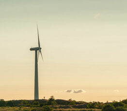 [Appel à projets FRB-Mirova Foundation] Impact des énergies éoliennes sur la biodiversité