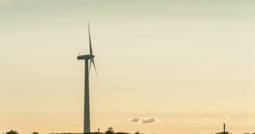 Quatre projets sélectionnés suite à l’appel “Impacts des énergies éoliennes sur la biodiversité”