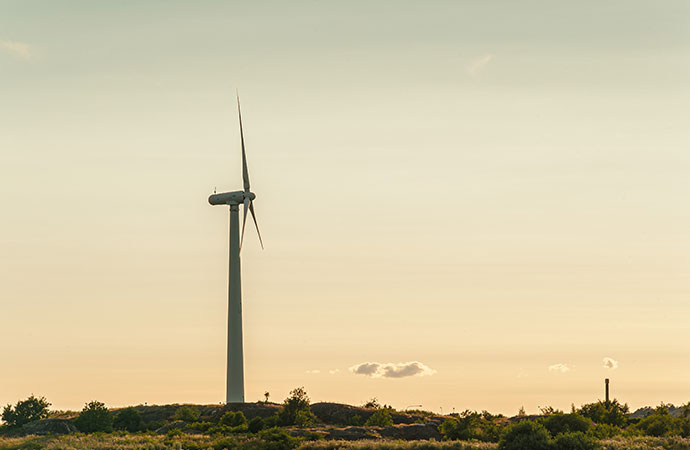 Quatre projets sélectionnés suite à l’appel “Impacts des énergies éoliennes sur la biodiversité”