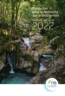 Rapport d’activité 2022