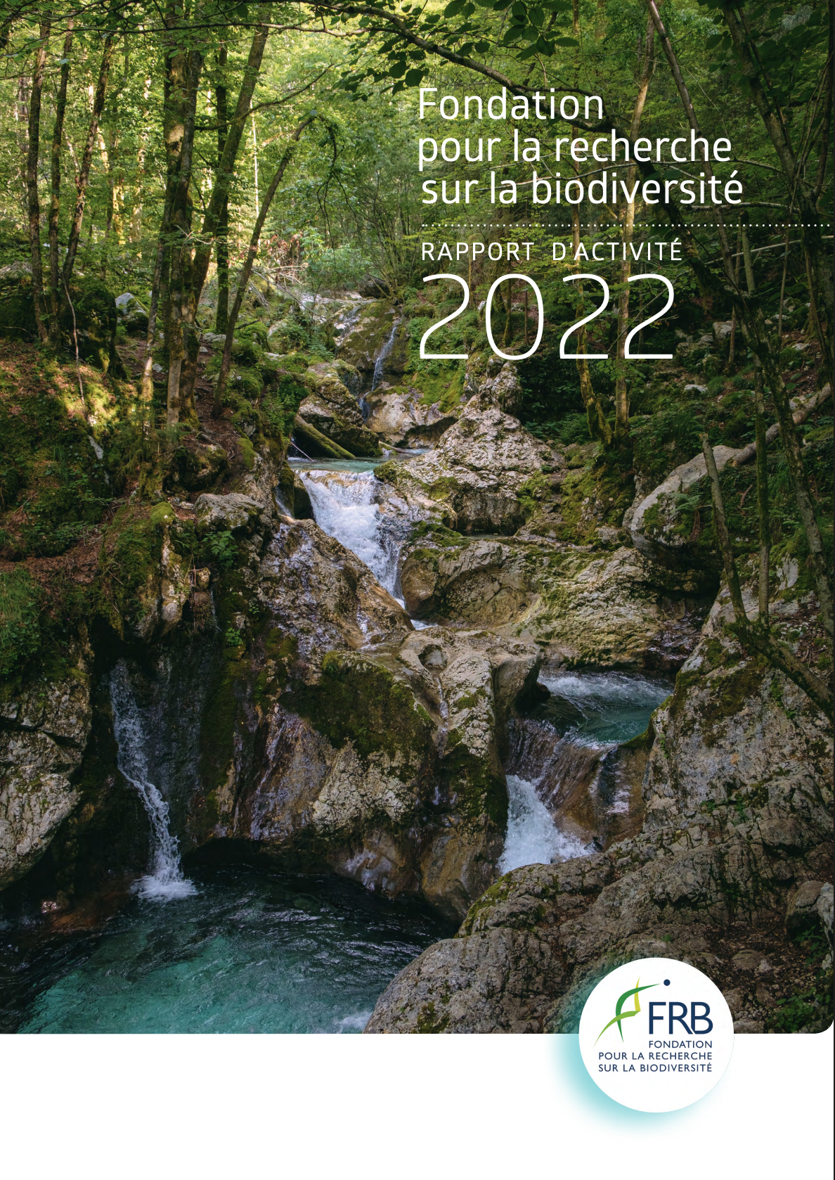 Rapport d’activité 2022