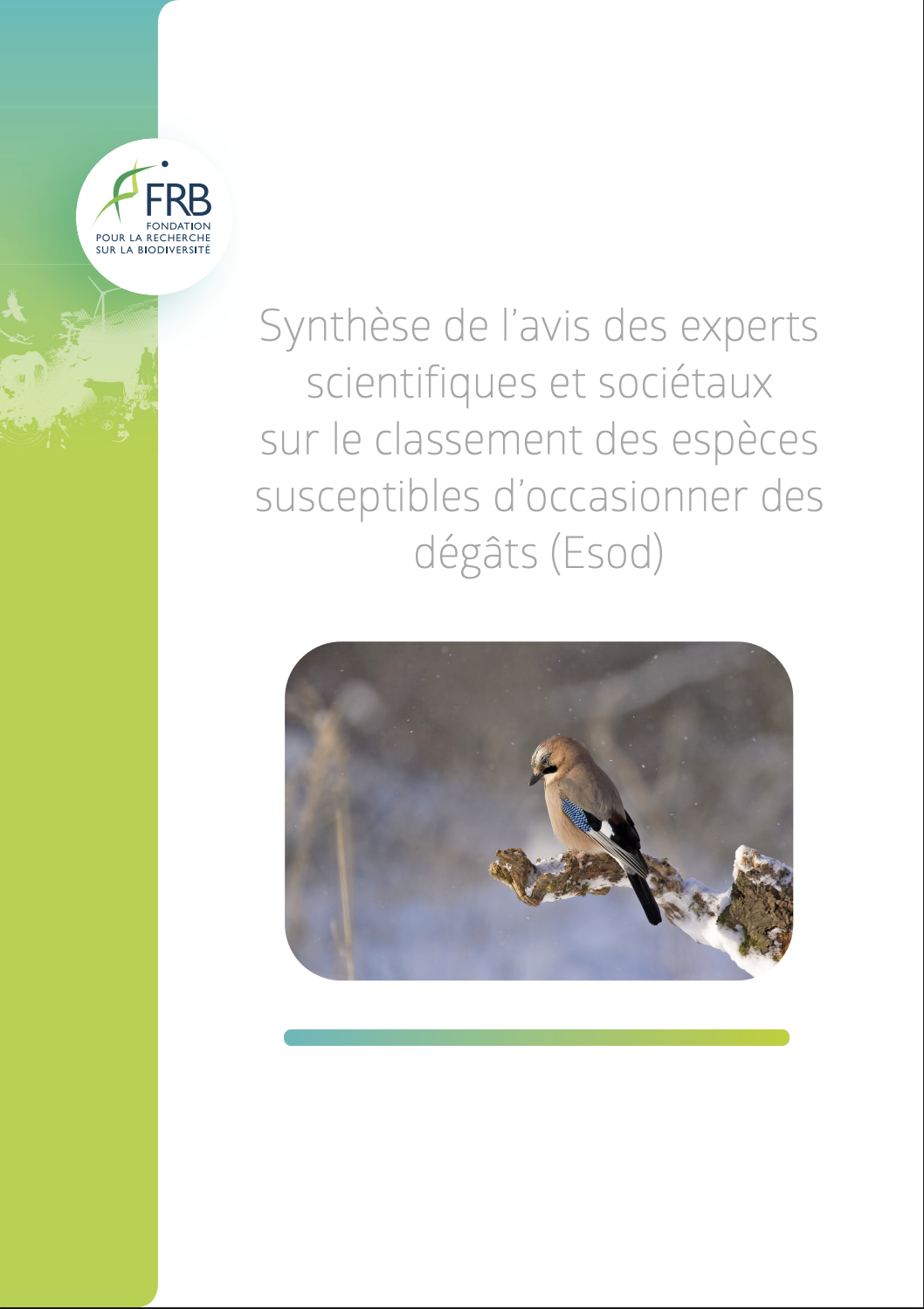 Synthèse de l’avis des experts scientifiques et sociétaux sur le classement des espèces susceptibles d’occasionner des dégâts (Esod)