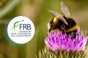FRB_visuel_recrutement
