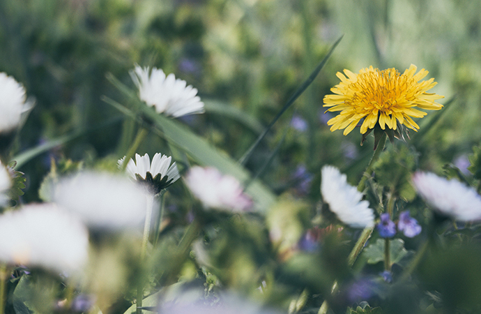 [actualité] Événement de lancement du programme de recherche scientifique sur les certificats de biodiversité