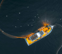 Fishing reaches the depths but marine conservation remains superficial