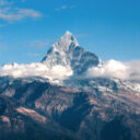 [Biodiversité et changement climatique]  Mieux comprendre la redistribution du vivant pour mieux anticiper l’avenir