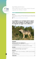 La prédation par les loups (Canis Lupus) réduit-elle le nombre de collisions entre les ongulés sauvages et les véhicules ?