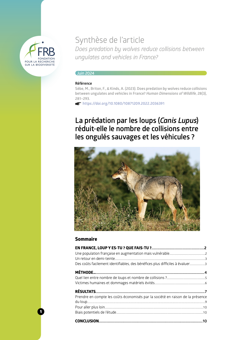 La prédation par les loups (Canis Lupus) réduit-elle le nombre de collisions entre les ongulés sauvages et les véhicules ?