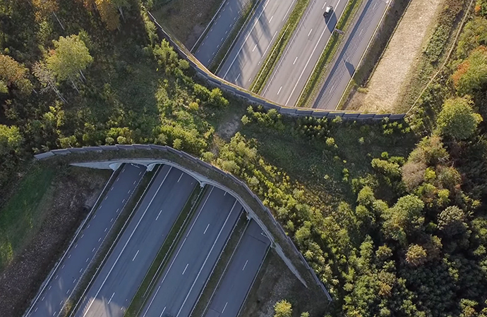 [IENE ] Le réseau lance le “Guide en ligne de la biodiversité et des infrastructures”