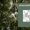 Biodiversité ! Les valeurs de la nature