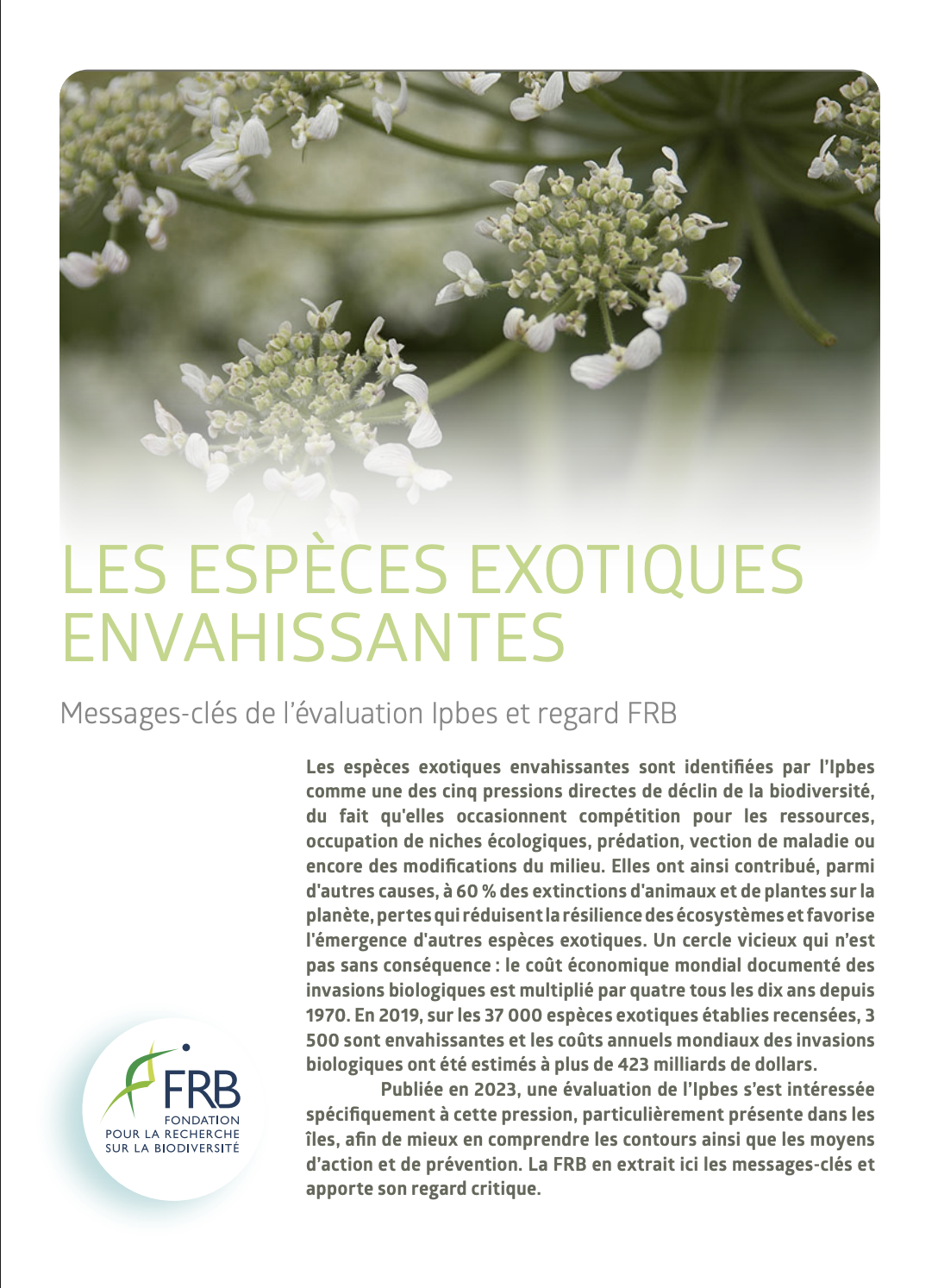 Les espèces exotiques envahissantes : Messages-clés de l’évaluation Ipbes et regard FRB