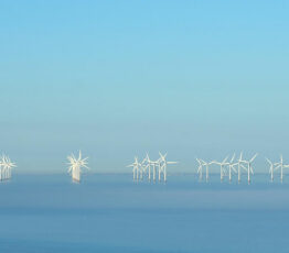Impacts des installations éoliennes en mer sur la biodiversité et recommandations pour l’évaluation des risques