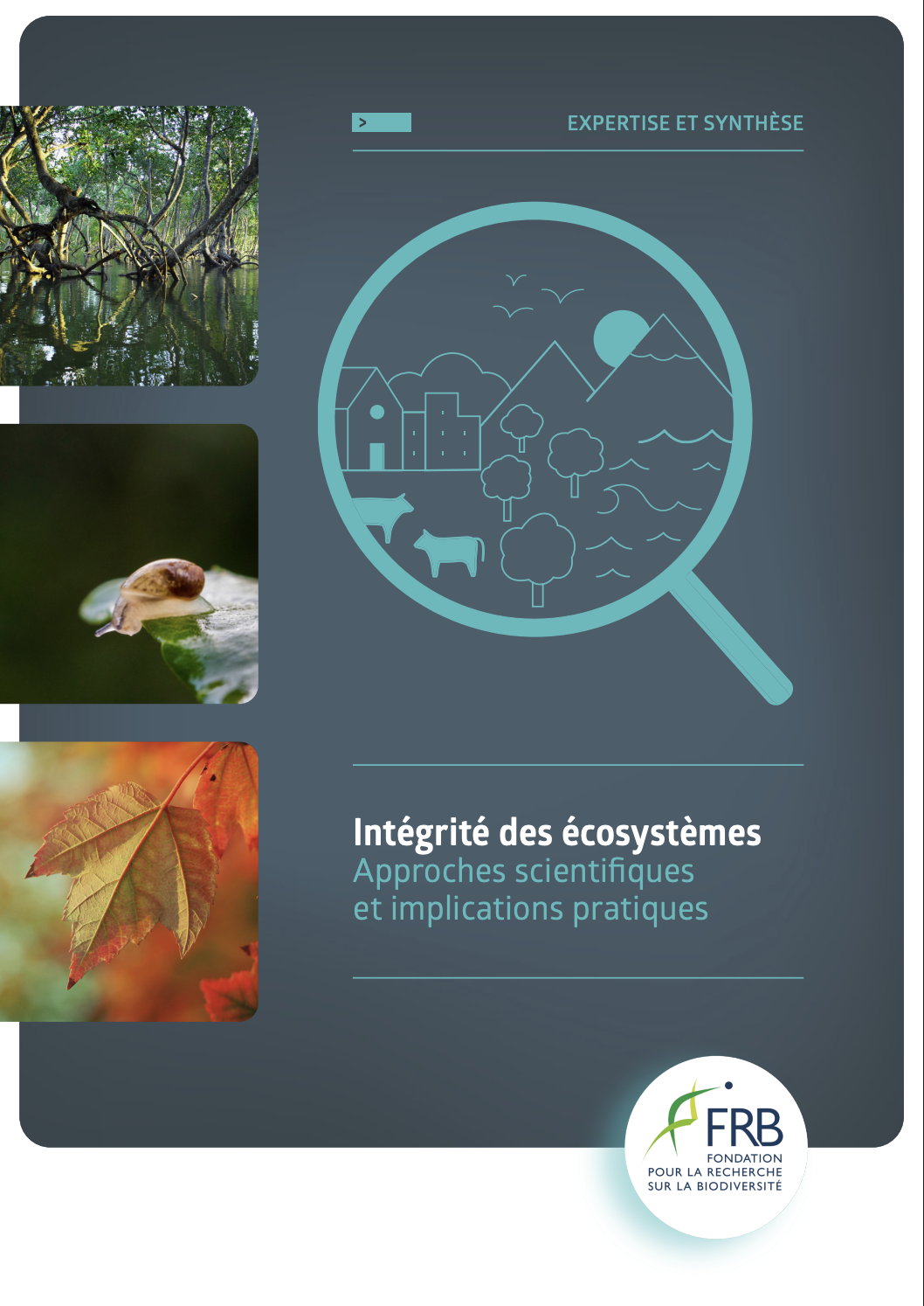 Intégrité des écosystèmes – Approches scientifiques et implications pratiques