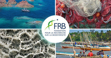 [Fil rouge] Conservation, climat, économie et société : l’océan, haut lieu de la biodiversité