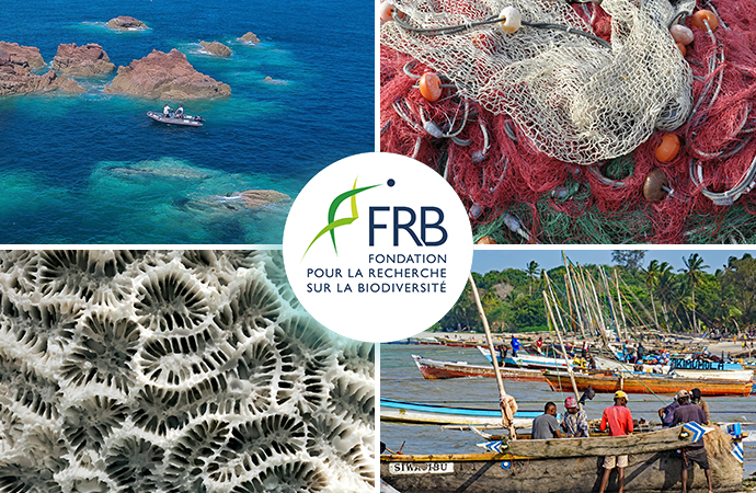 [Fil rouge] Conservation, climat, économie et société : l’océan, haut lieu de la biodiversité