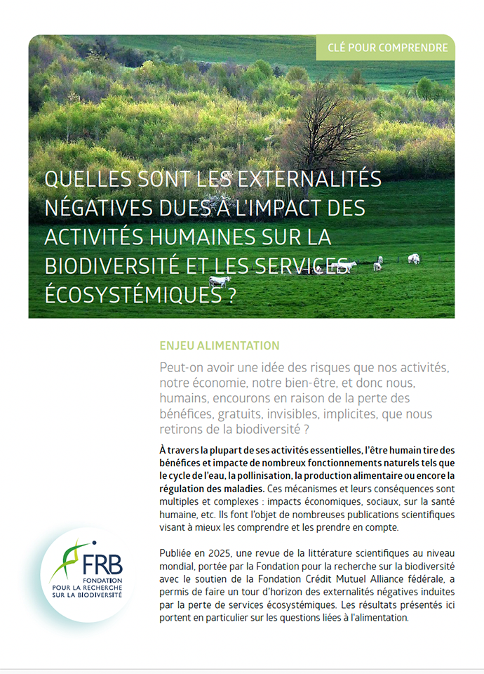 Quelles sont les externalités négatives dues à l’impact des activités agricoles et de pêche sur la biodiversité et les services écosytémiques