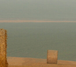 Pesticides en France : dix ans d’exposition aux substances actives