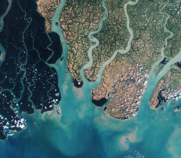 [Call for projects Biodiversa+] Restoration of ecosystem functioning, integrity and connectivity (BiodivConnect)