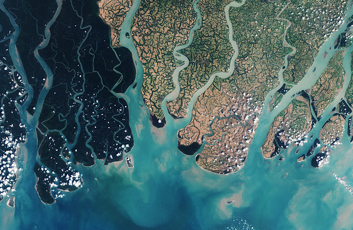 [Call for projects Biodiversa+] Restoration of ecosystem functioning, integrity and connectivity (BiodivConnect)