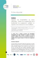 Forcis | Réponse des foraminifères au stress climatique