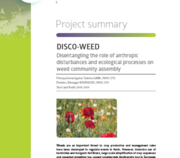 Disco-Weed | Assemblage des communautés adventices : entre processus écologiques et perturbations anthropiques