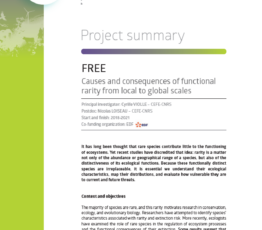 Free 1 | Causes et conséquences de la rareté fonctionnelle du local au global