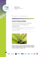 FunctionalWebs | Diversité fonctionnelle des réseaux trophiques : le lien entre écologie, physiologie et biogéographie