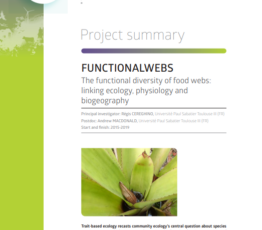 FunctionalWebs | Diversité fonctionnelle des réseaux trophiques : le lien entre écologie, physiologie et biogéographie